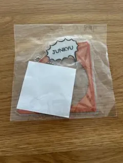 treasure WONDERLAND カプセルトイ ジュンギュ