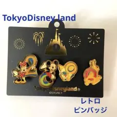 レトロ東京ディズニーランド　ピンバッジセット　2000 レトロ　ミッキー ミニー
