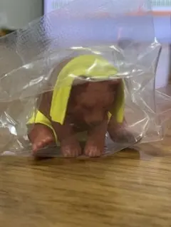 どうぶつサウナセット2 ガチャガチャ　　クマ