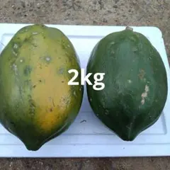 フルーツパパイヤのサムネイル