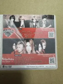 ギルド Anli Pollicino DVD 非売品