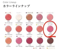 ラシャスリップ 330のサムネイル