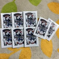 【中古品】ポケカ　サブウェイマスター　デッキシールド