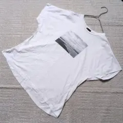 INDIVI インディヴィ フォトプリントTシャツ コットン100% ホワイトのサムネイル