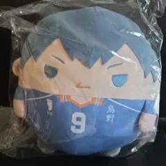 ハイキュー　くじメイト　ぬいくじ　B賞　影山飛雄