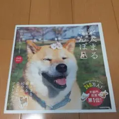 柴犬まるさんぽ DVD付き！