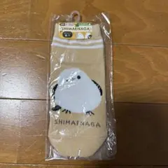 Item thumbnail for item 35ed21b0-a555-4923-b9f0-c0c254a32ff2