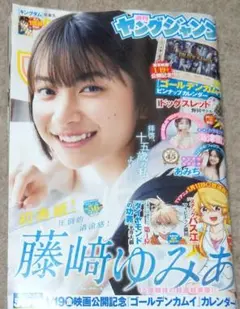 Item thumbnail for item 3020811c-36ef-46f6-ba0c-c2f81caf3033