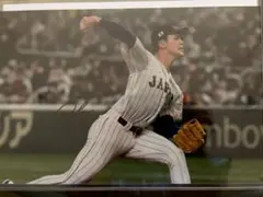 オリックス 金子千尋 直筆サイン フォト スポニチフェス 四つ切り