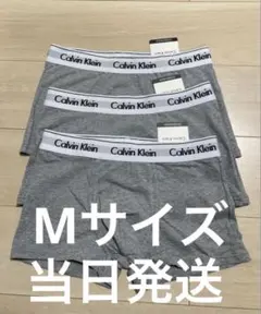 Item thumbnail for item 513124d3-1358-4368-a0e1-6eaa20360cc0