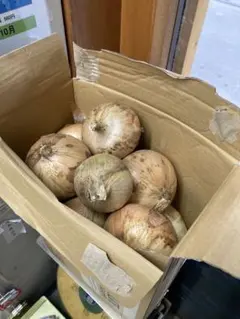 専用　新玉ねぎ（早生）旬野菜セット　農薬不使用　80size 専用 新玉ねぎ（早生）旬野菜セット 農薬不使用 80size - メルカリ