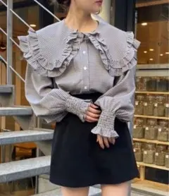 ビックカラーブラウス