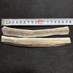 中型犬用６１、蝦夷鹿の生角使用‼️ドッグガム、四つ割り２本セット、カミカミ玩具のサムネイル