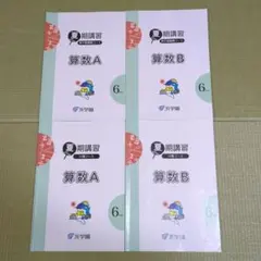 2026年最新】浜学園 夏期講習 小6の人気アイテム - メルカリ