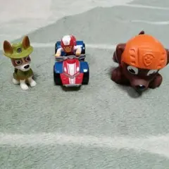 パウパト　ケント　トラッカー　ズーマ