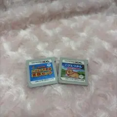 任天堂 3Dsカセット こびとづかん
