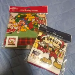 【26日まで！】東京ディズニーリゾートウォッシュ＆ミニタオルセット