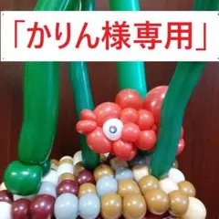 「かりん様専用」