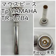 Item thumbnail for item 4fd1e939-1f94-48ad-80a7-82c0ea089711