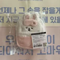 スキズ　ペンミ　コレクトケース　トレカ付き　リービット　リノ　skzoo