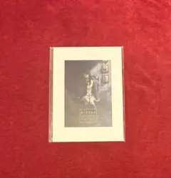 未開封　殻ノ少女画展 公式図録　杉菜水姫のサムネイル