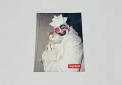 Item thumbnail for item 350a9086-5f9d-42ca-a37c-7c8e4d7ac71b