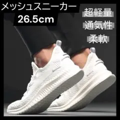 Item thumbnail for item 58bdf45a-8b78-4905-aec7-00f63756ff83