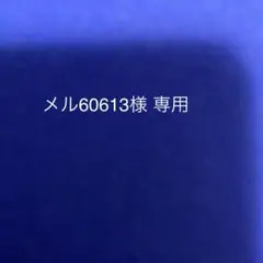 ドラえもん とことこぬいぐるみ 約30cm 1点