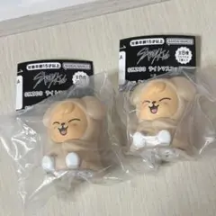 Stray Kids SKZOO ライトマスコットPuppyM 2個セット