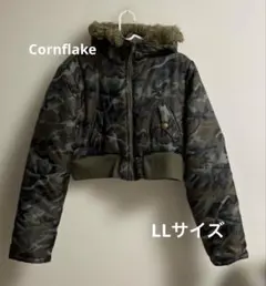 Item thumbnail for item d0d84410-1126-4451-aba4-dd9578eaa9f4