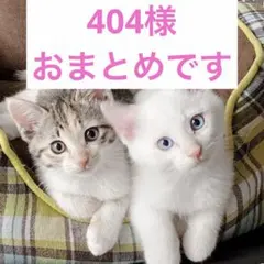 404様 リクエスト 2点 まとめ商品