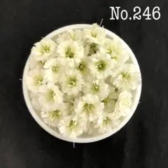 hitomi様 リクエスト 2点 まとめ商品