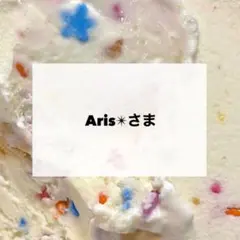Aris✴︎さま　専用　デコパーツ