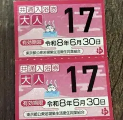 即日発送　匿名発送　東京都共通入浴券 大人 2枚セット 2026.6.30までのサムネイル