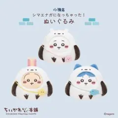 ちいかわ もぐもぐ本舗 限定 ぺこりソーラー 3種 ちいかわ ハチワレ