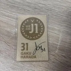 V・ファーレン長崎 ヴィヴィくん J1昇格記念ゴールドメタルカード
