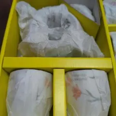 新品　hiromichi nakano パロットポット 茶器セット