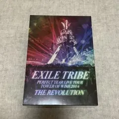EXILE TRIBE/EXILE TRIBE PERFECT YEAR LI…