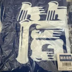 横浜denaベイスターズタオル