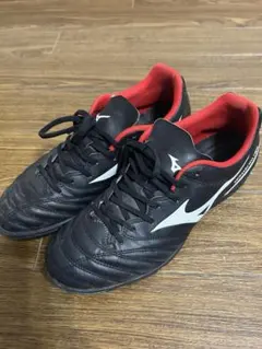 Item thumbnail for item be936c8c-3895-4c4c-a713-305ffce95c6a