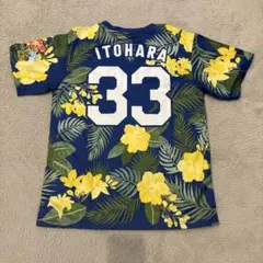 Item thumbnail for item 71adf671-26a9-44c1-928a-a875455b3c49