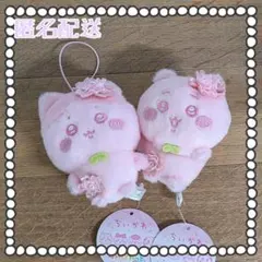 ちいかわ ハチワレ ぬいぱれっと～さくらいろ～マスコット 2種セット