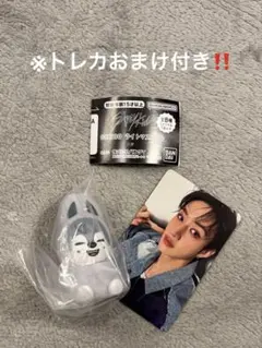 SKZOO ライトマスコットウルフチャン※トレカおまけ付き‼️