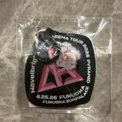 FC限定】Novelbright アクリルキーホルダー全員 プレゼント付 - メルカリ