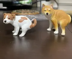ふんばり〜ぬ　ジャックラッセルテリア　シークレット