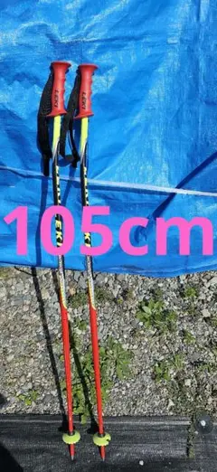 LEKI スキーストック