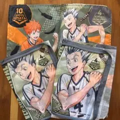 ハイキュー‼︎ダブルビジュアルポーチ　日向　木兎