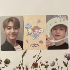 サンリオ NCT トレカ ジェミン A B セット