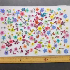 .*Klein*.⚘クレイン様 リクエスト 2点 まとめ商品