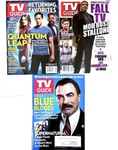 【切り抜きあり】TV GUIDE 2020年12月 ブルー・ブラッド　3冊セット